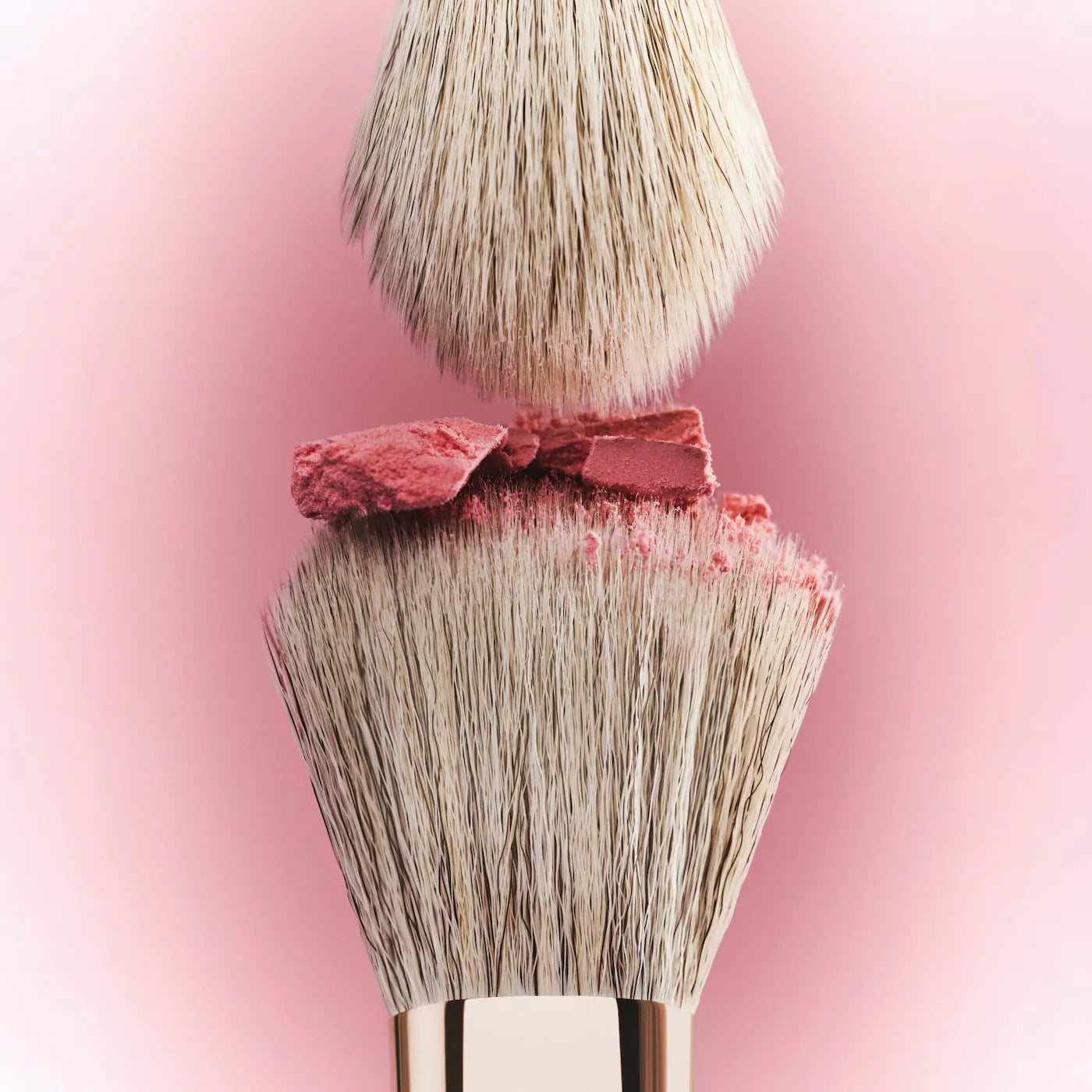 Dual Ended Transition Blush Brush